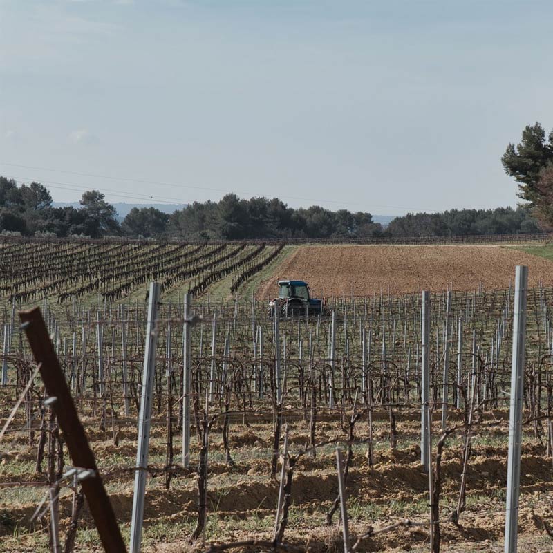 Vins du Domaine Val de Caire Image