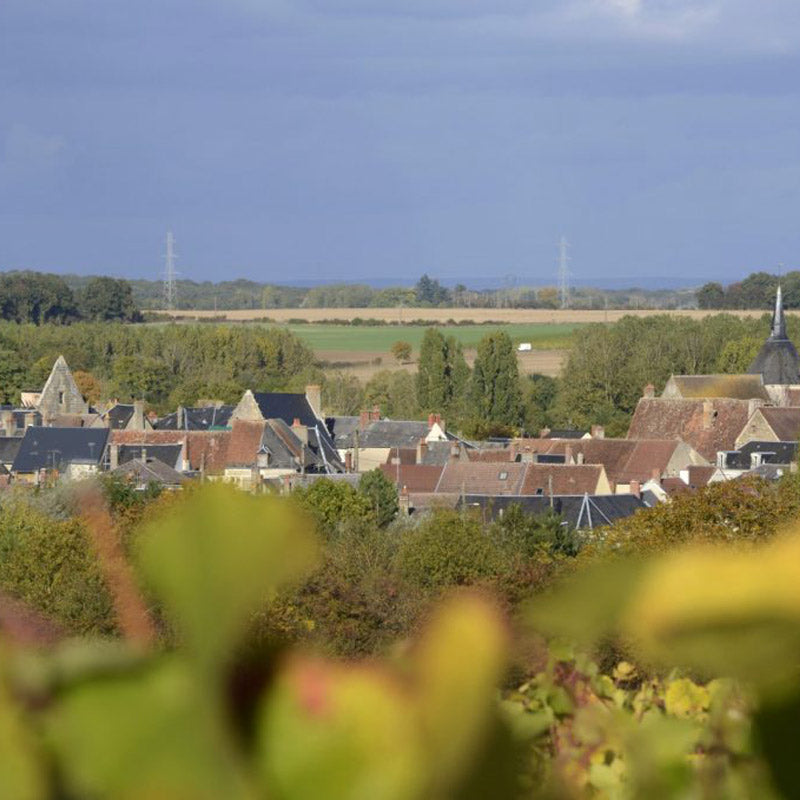 Vins du Domaine Valéry Renaudat Image