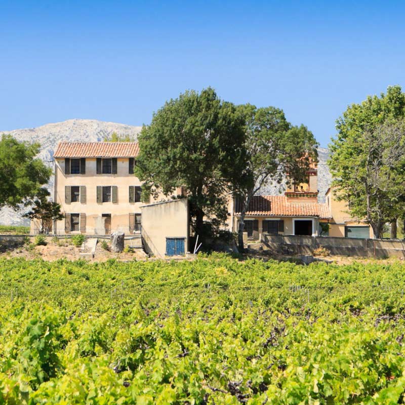 Vins du Domaine de l’Anticaille Image
