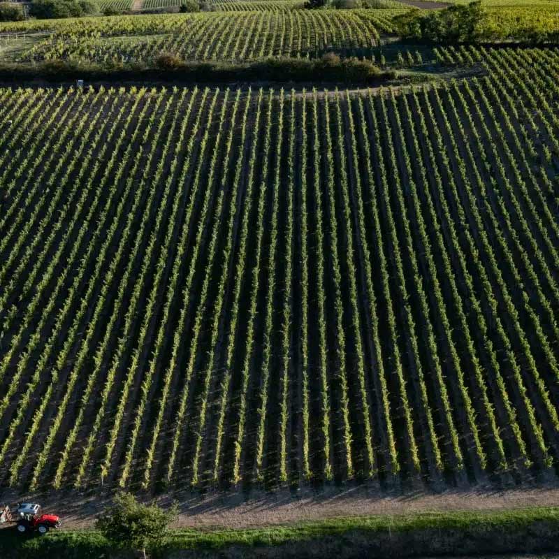 Vins du Domaine des Petits Quarts Image