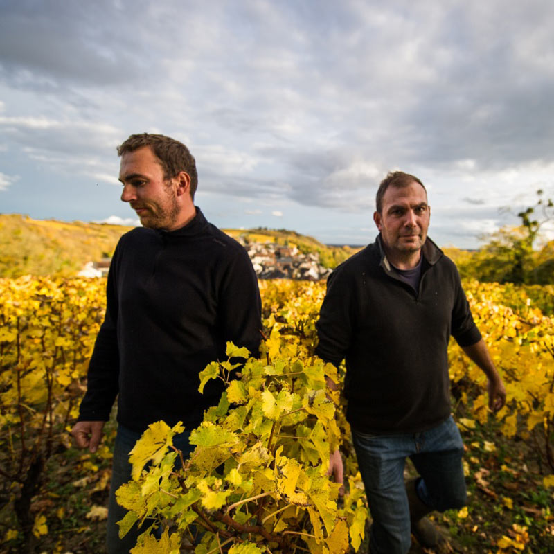 Vins du Domaine des Rabichattes Image