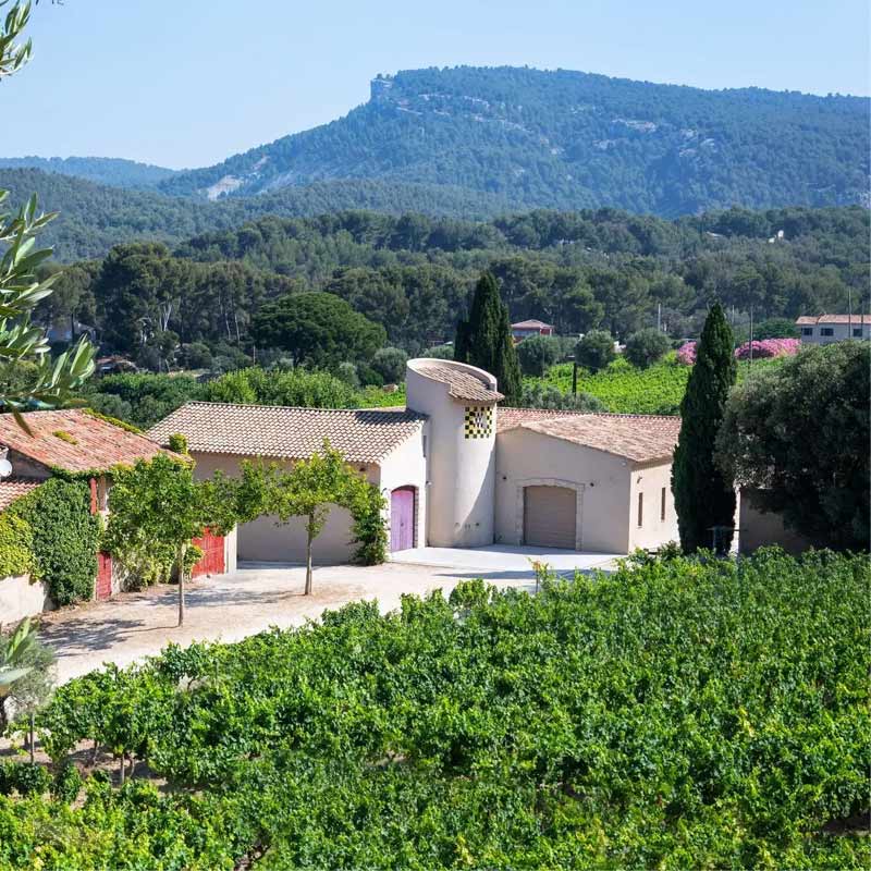Vins du Domaine du Paternel Image