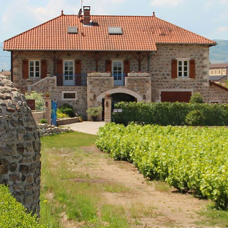 Vins du Domaine du Père Benoît Image