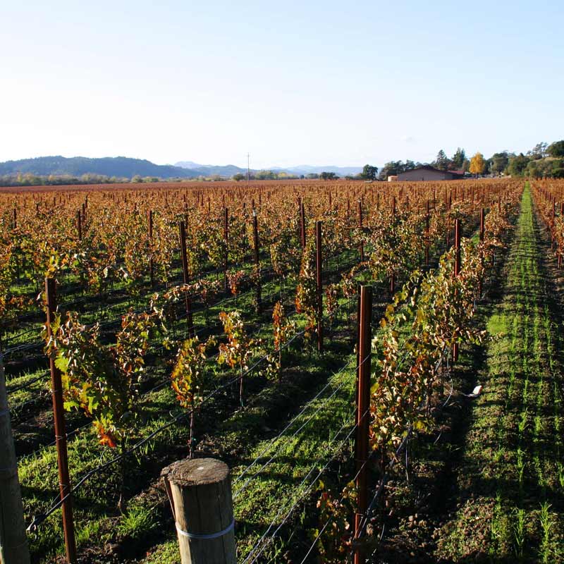 Vins du Domaine du Tremblay Image