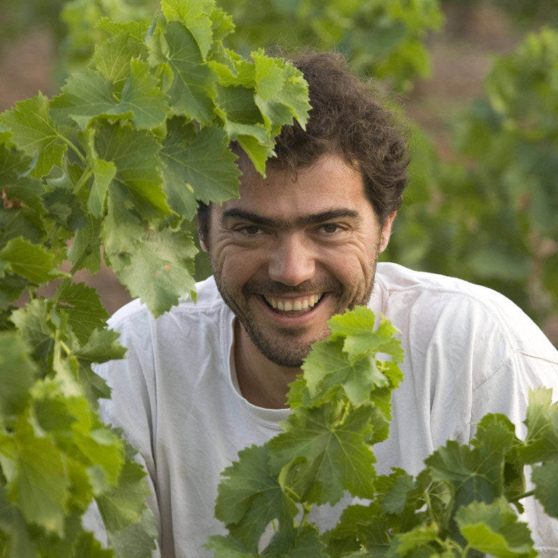 Vins d'Olivier Pithon Image