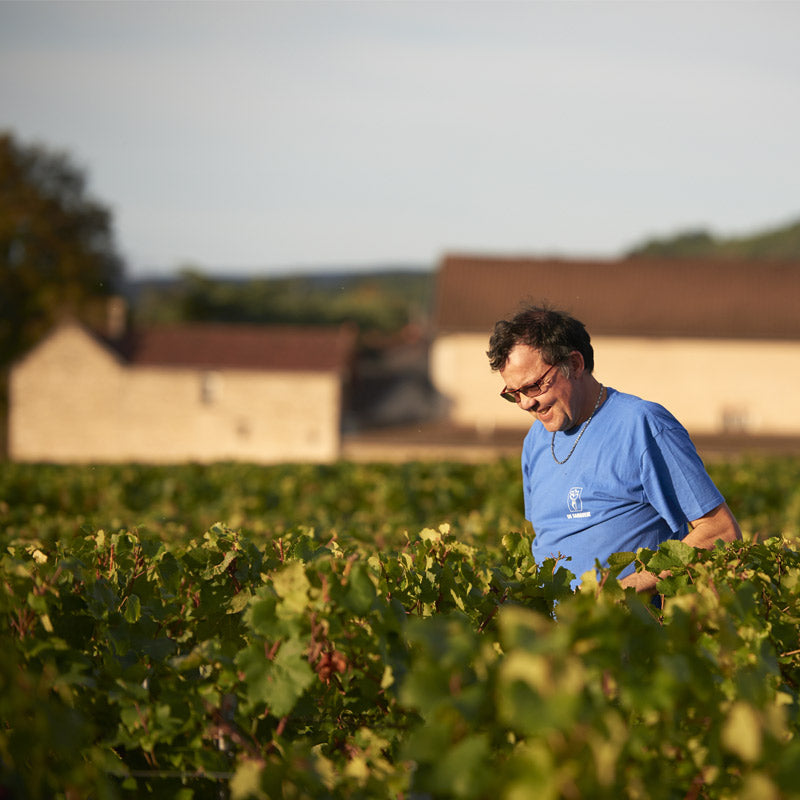 Vins du Domaine Rossignol-Février Image