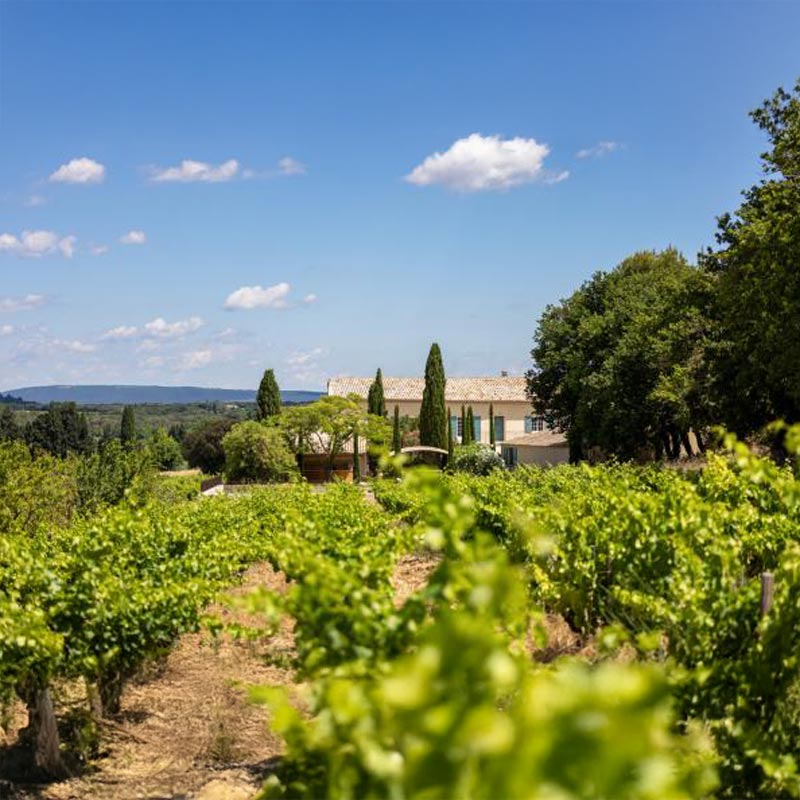 Vignobles Chirat Image