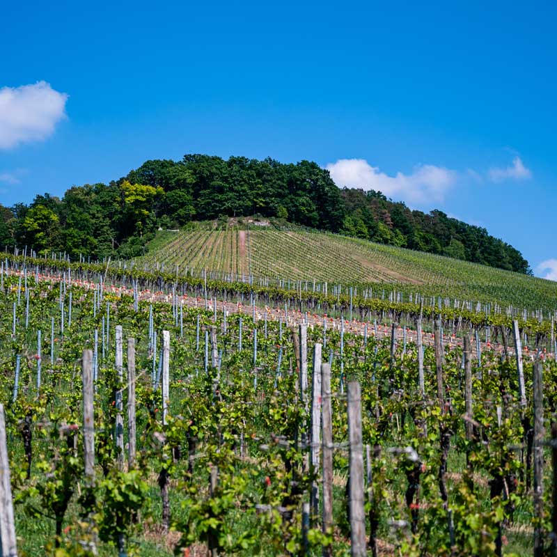 Vins d'Henri Guinand Image