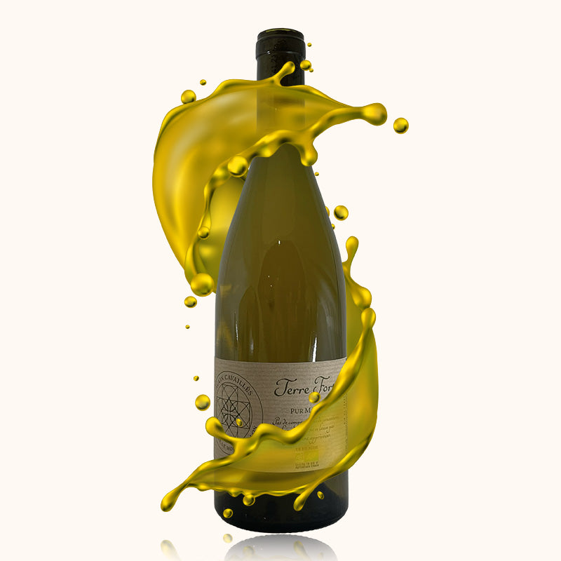 Alain Cavailles Terre Forte Blanc bouteille
