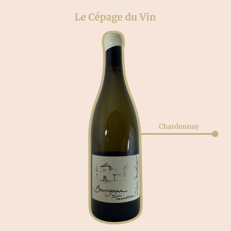 Alain Mathias Vin Bourgogne Tonnerre Cépage