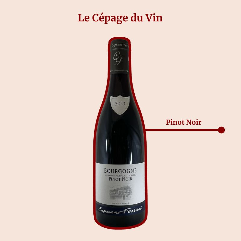Bougogne Domaine Capuano Ferreri Rouge Cépage