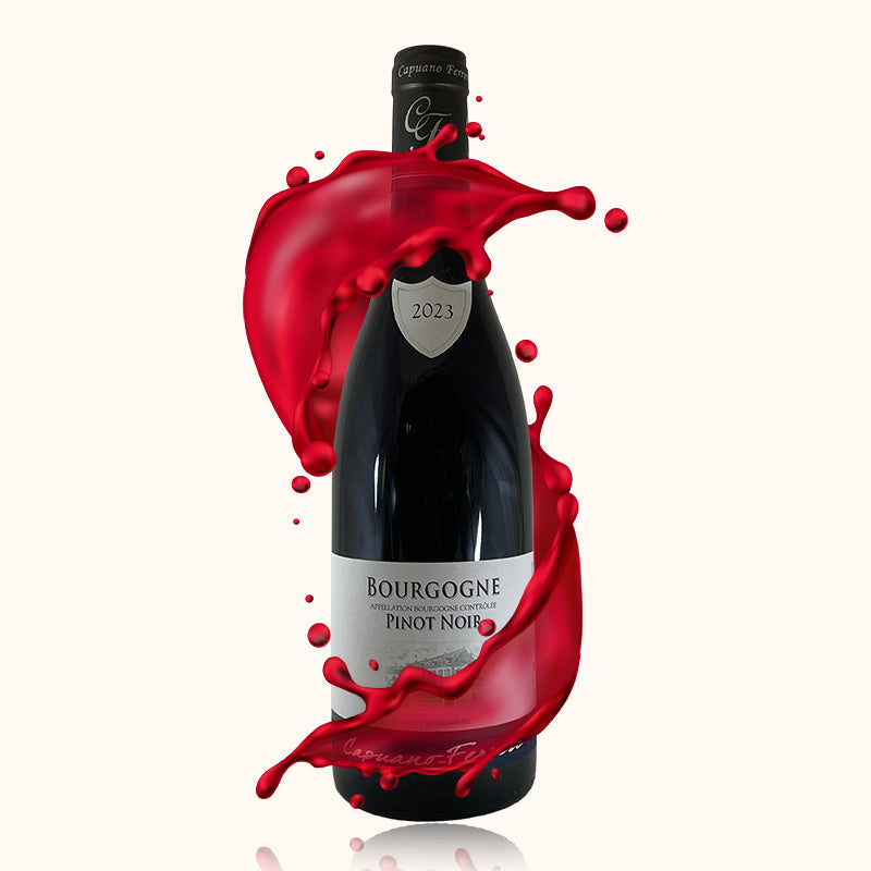 Bougogne Domaine Capuano Ferreri Rouge bouteille