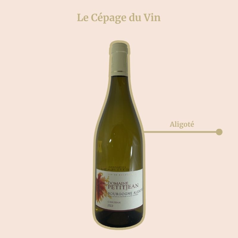 Bourgogne Aligoté Domaine Petitjean Blanc Cépage
