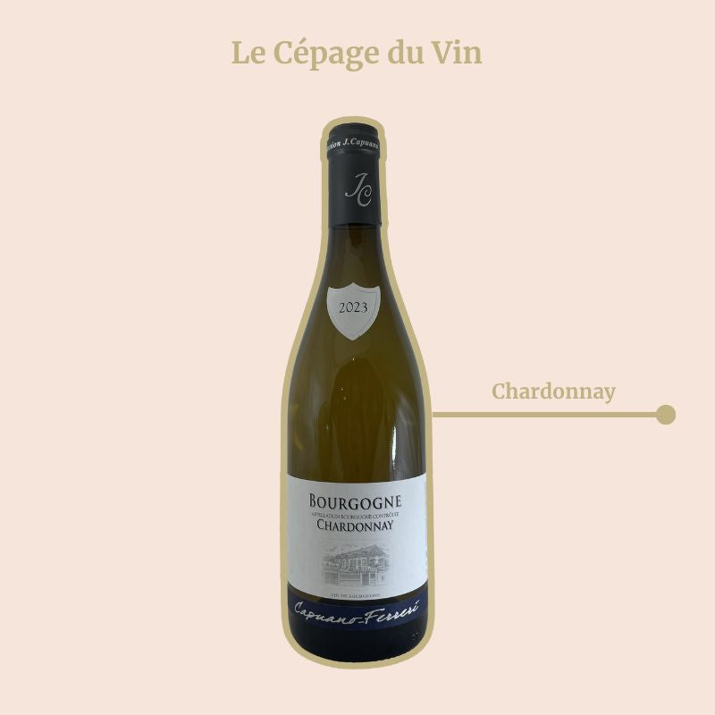 Bourgogne Domaine Capuano Ferreri Blanc Cepage