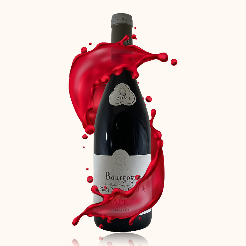 Bourgogne Domaine Rapet Père & Fils Rouge bouteille