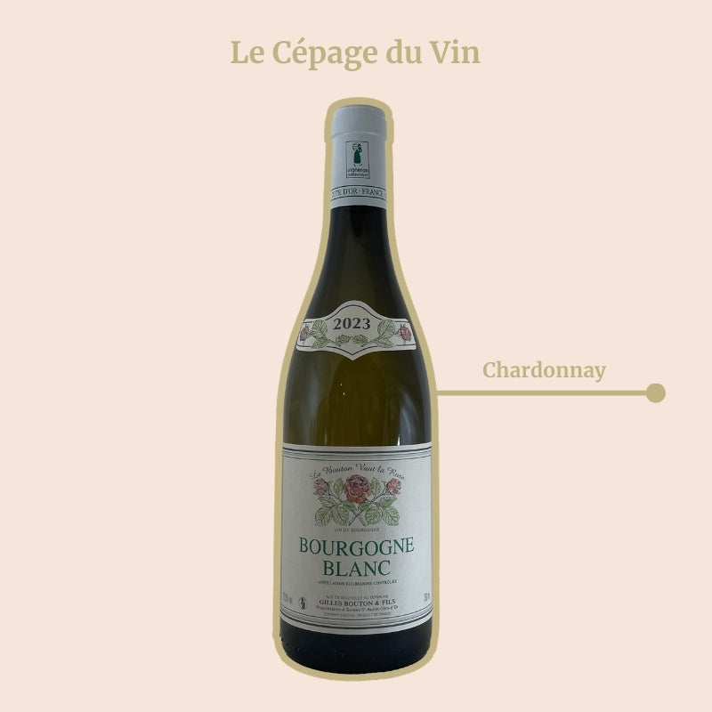 Bourgogne Gilles Bouton Blanc Cépage
