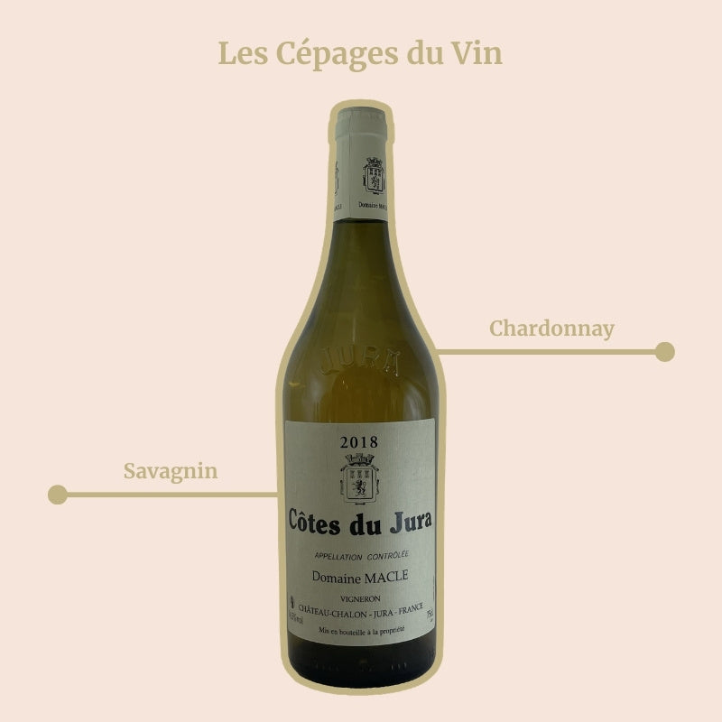 Côtes du Jura Domaine Macle Cépages