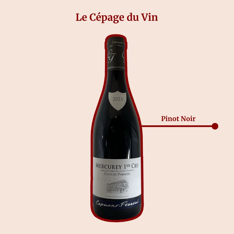 Capuano Ferreri Clos du Paradis Rouge Cépage