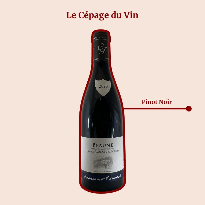 Capuano-Ferreri Cuvée Jean-Marc Ferreri Cépage