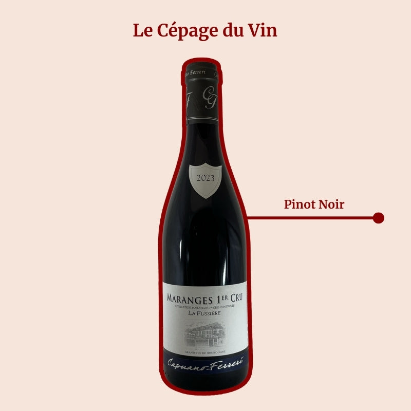 Capuano Ferreri La Fussière Cépage