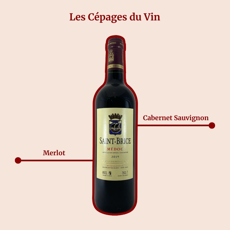 Cave Saint Brice Médoc Cépages