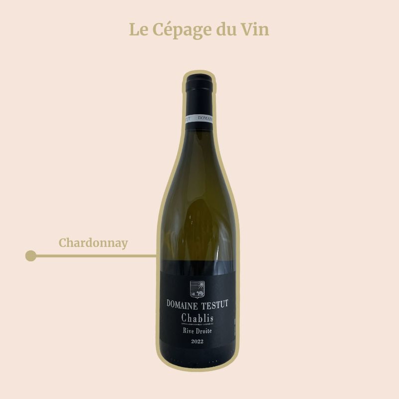 Chablis rive droite domaine testut cépage