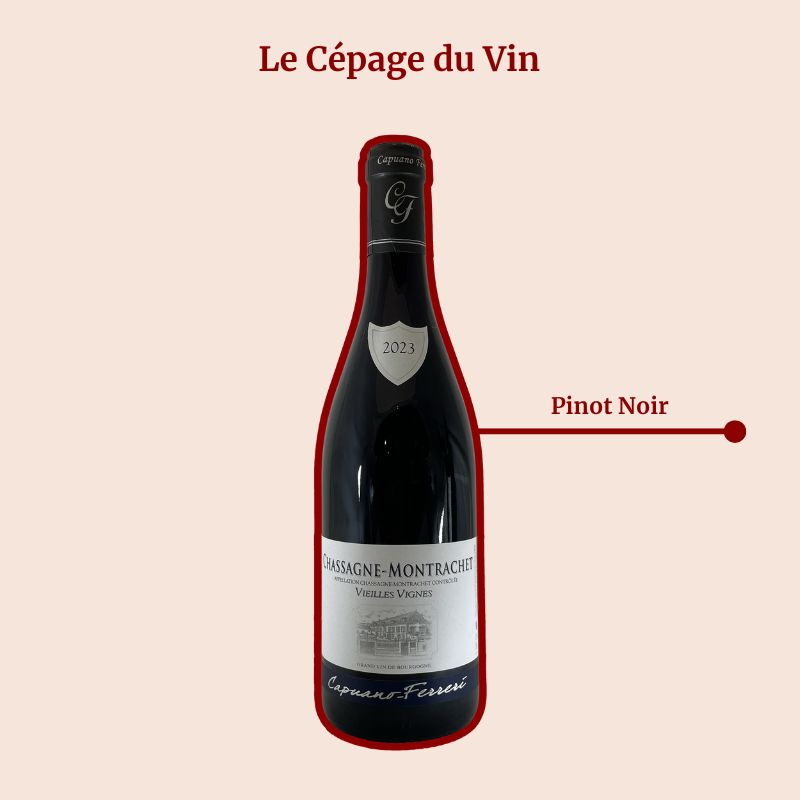 Chassagne Montrachet Capuano Ferreri Vieilles Vignes Rouge Cépage