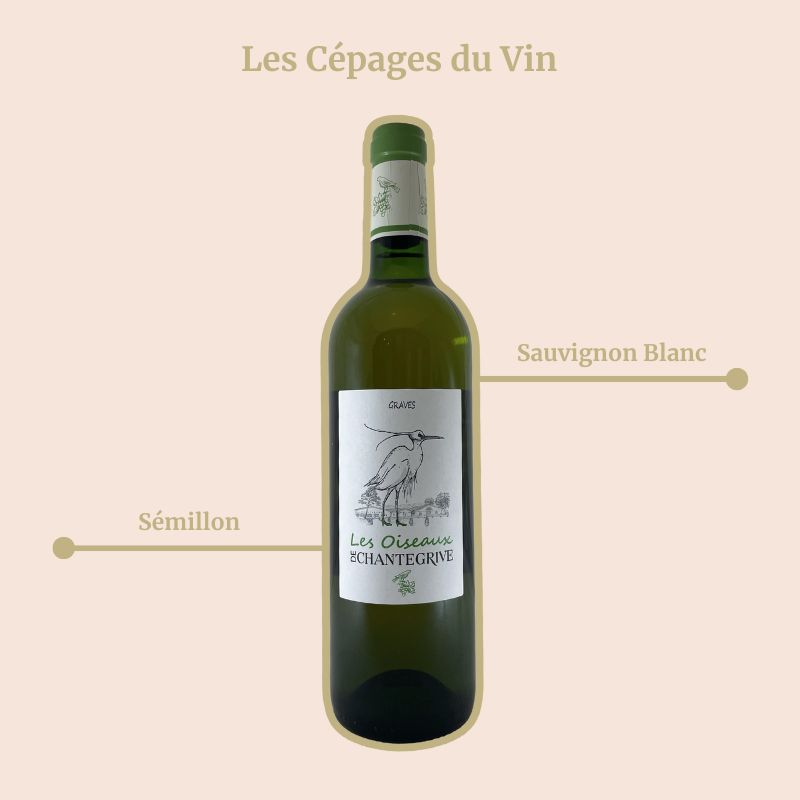 Château Chantegrive Les Oiseaux de Chantegrive Pureté Cépages