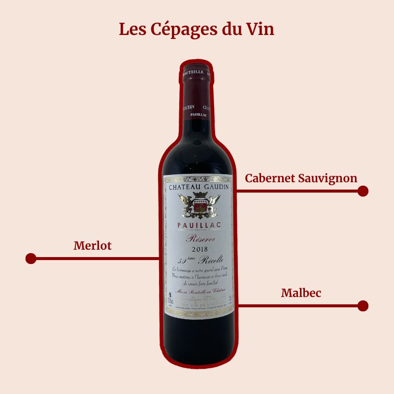 Château Gaudin Pauillac 2018 Cepages
