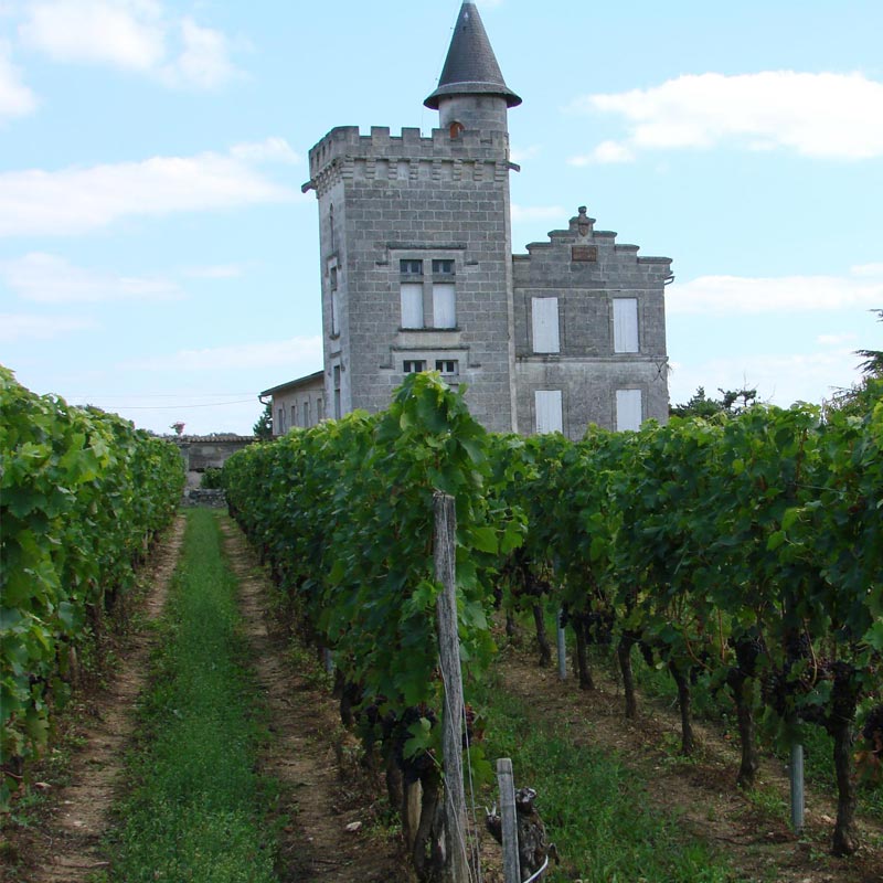 Château Guillemot Saint-Émilion domaine Image
