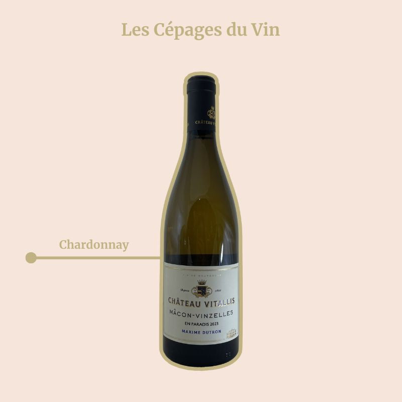 Château Vitallis en Paradis Cépage