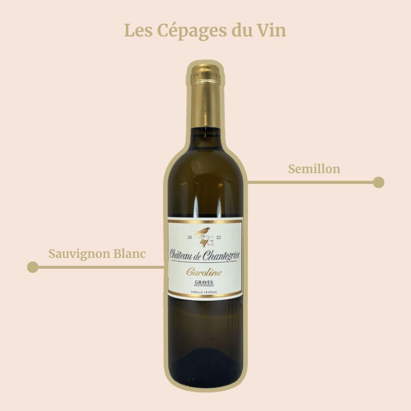Château de Chantegrive Caroline Cepages