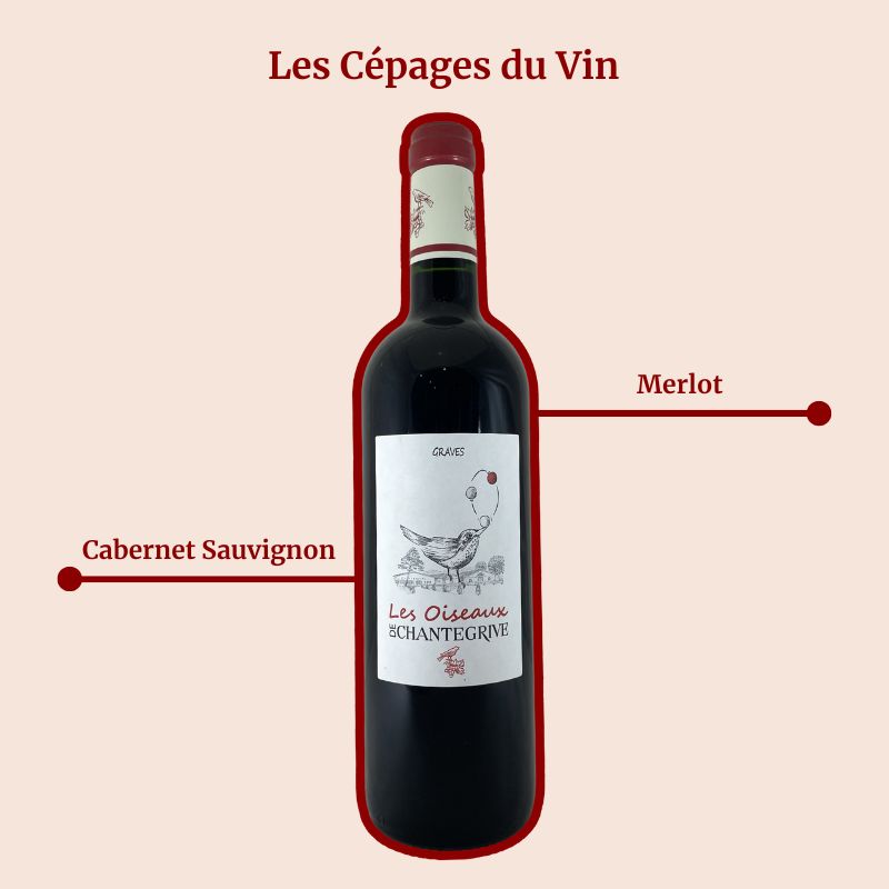 Château de Chantegrive Les Oiseaux de Chantegrive Rouge Cépages