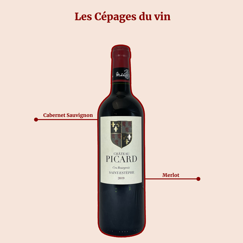 Chateau Picard Saint Estèphe 2020 Cépages