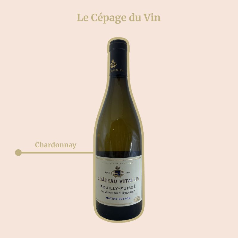 Château Vitallis Les Vignes du Château Cépage