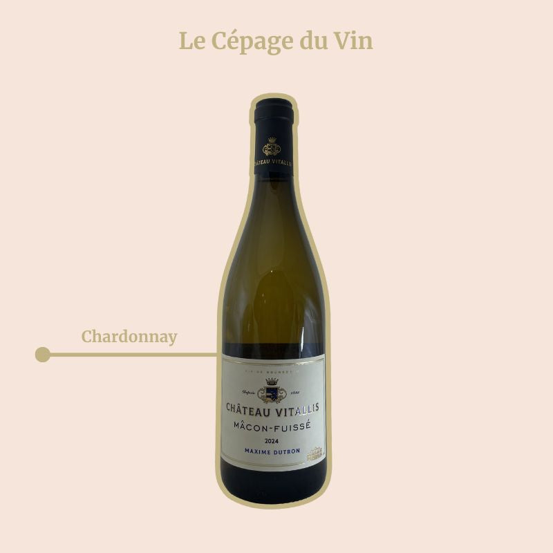 Château Vitallis Mâcon Fuisse Cépage