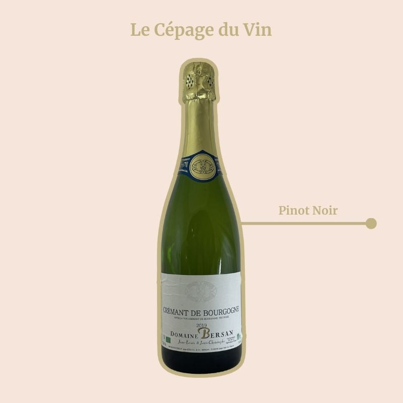Crémant de Bourgogne Domaine Bersan Cépage