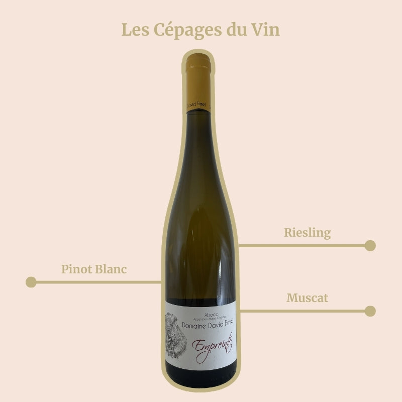 David Ermel Empreinte Cépage