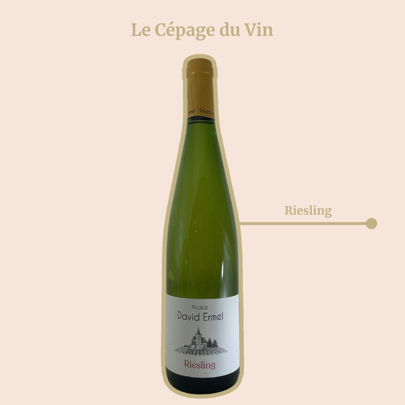 David Ermel Riesling Cépage