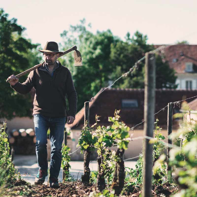 Domaine Dominique Gruhier produit Image
