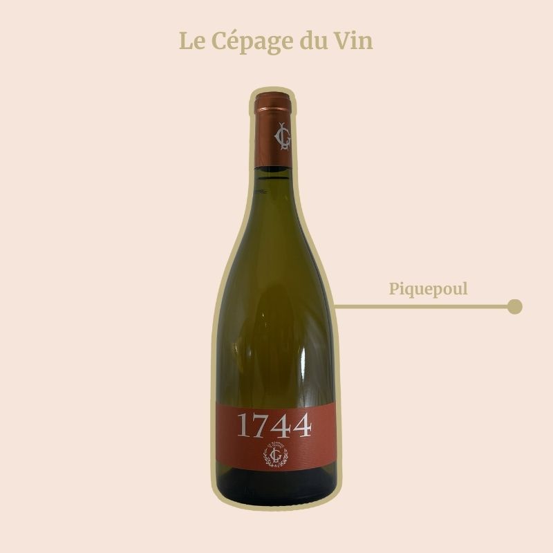 Domaine Gaujal 1744 Cépage