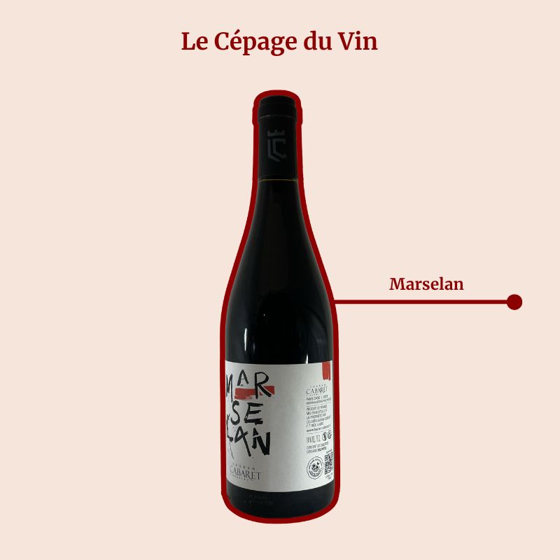 Domaine Lauran Cabaret Marselan Cépage