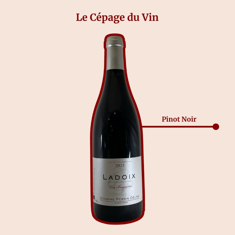 Domaine Perrin Céline Les Briquottes Cépage