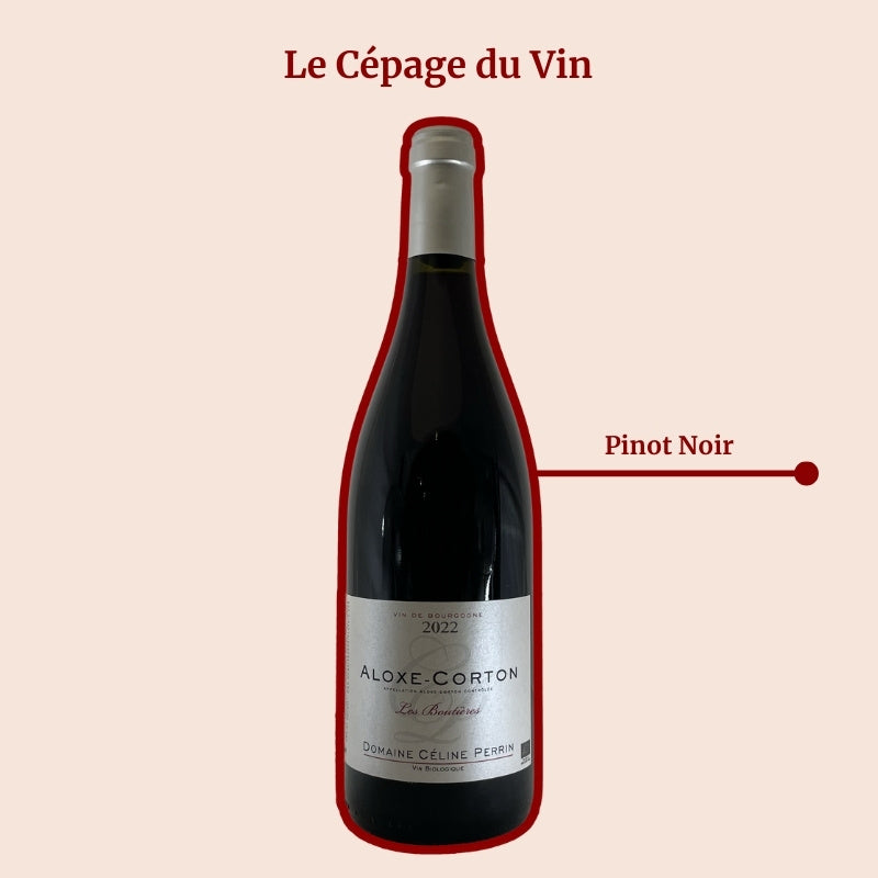 Domaine Perrin Céline les Boutières Cépages