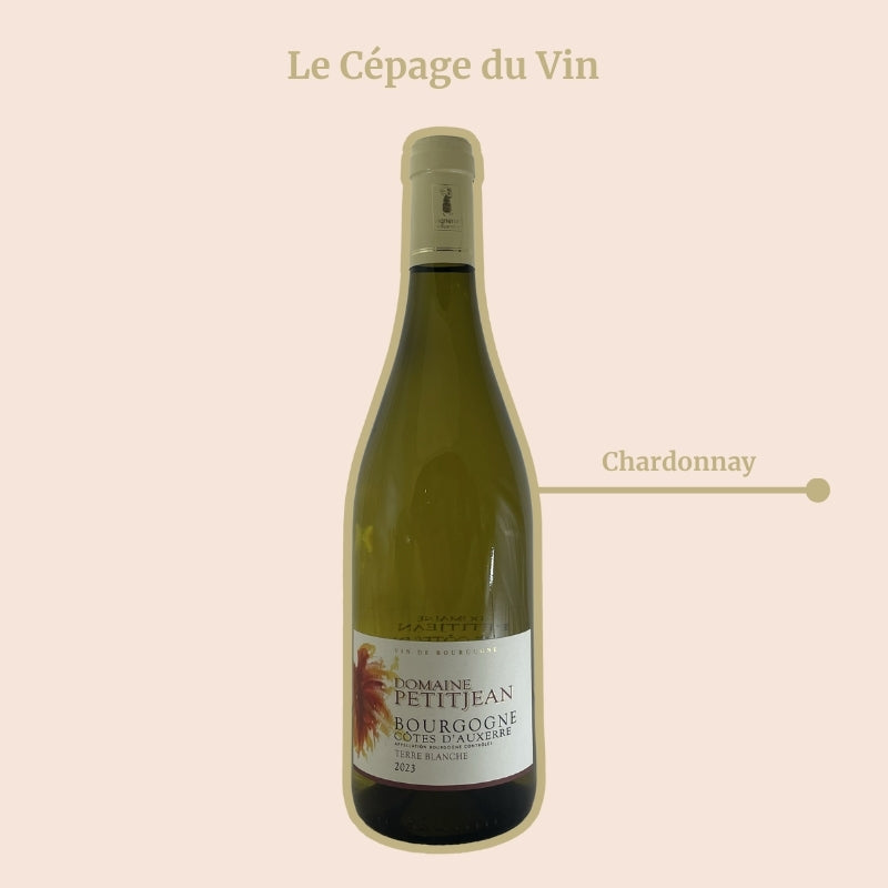 Domaine Petitjean Terre Blanche Cépage