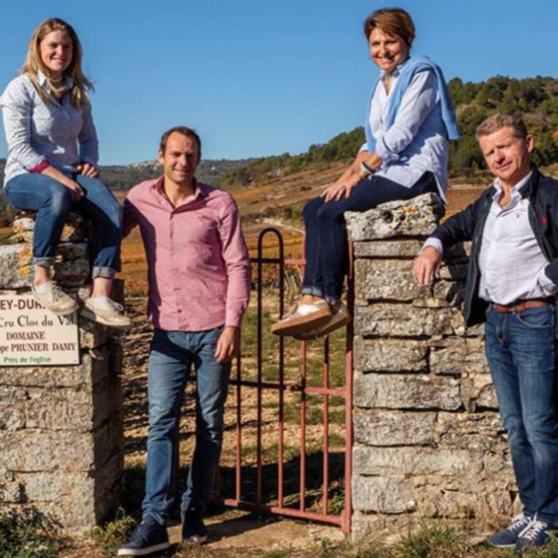 Domaine Prunier-Damy produit Image
