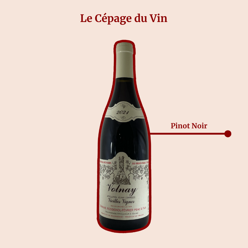 Domaine Rossignol-Février Vieilles Vignes Cépage