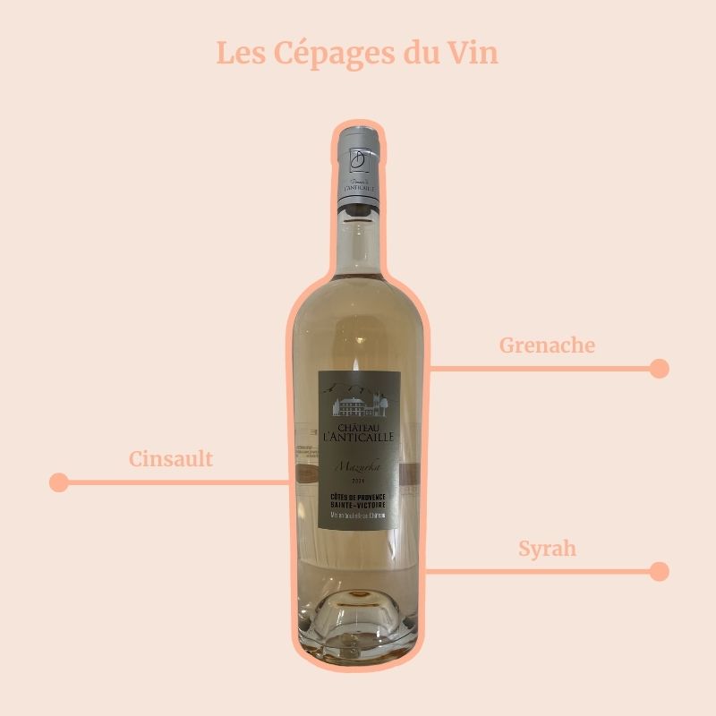 Domaine de l’Anticaille Mazurka Rosé Cépages