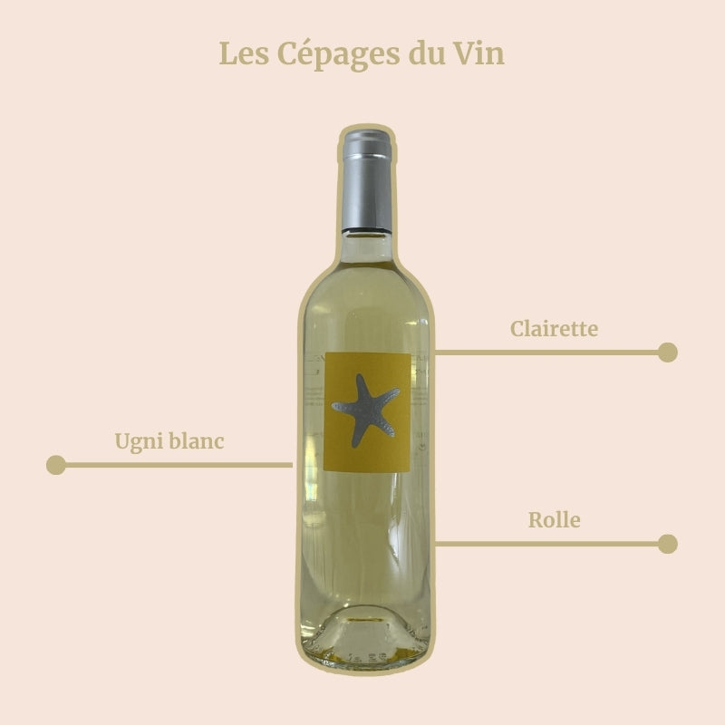 Domaine de l'Olivette Mare Nostrum Blanc Cépages