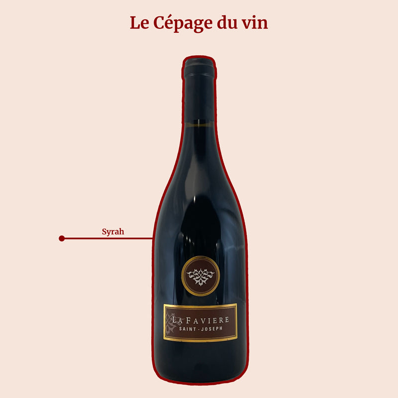 Domaine de la Favière Saint Joseph Cépage